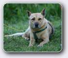 Click to Enlarge